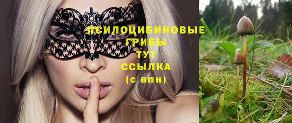 spice Аркадак