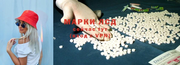 СК Волоколамск