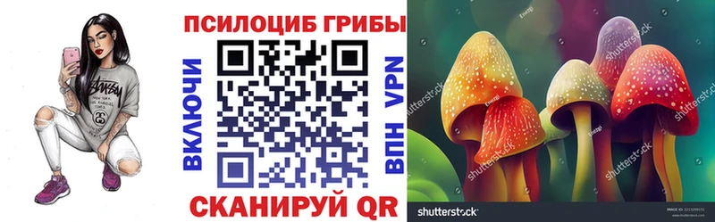 Псилоцибиновые грибы мицелий  где продают наркотики  Тейково 